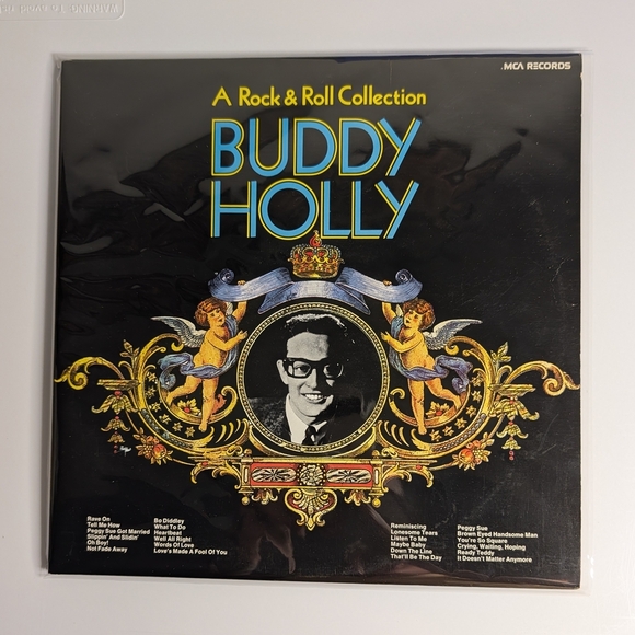 Buddy Holly and Gordon Lightfoot Vinyl Record Set- Double LP's - Picture 4 of 7